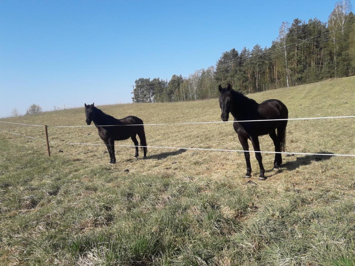Apartamenty Lubiewo Mikołajki Eksteriør bilde